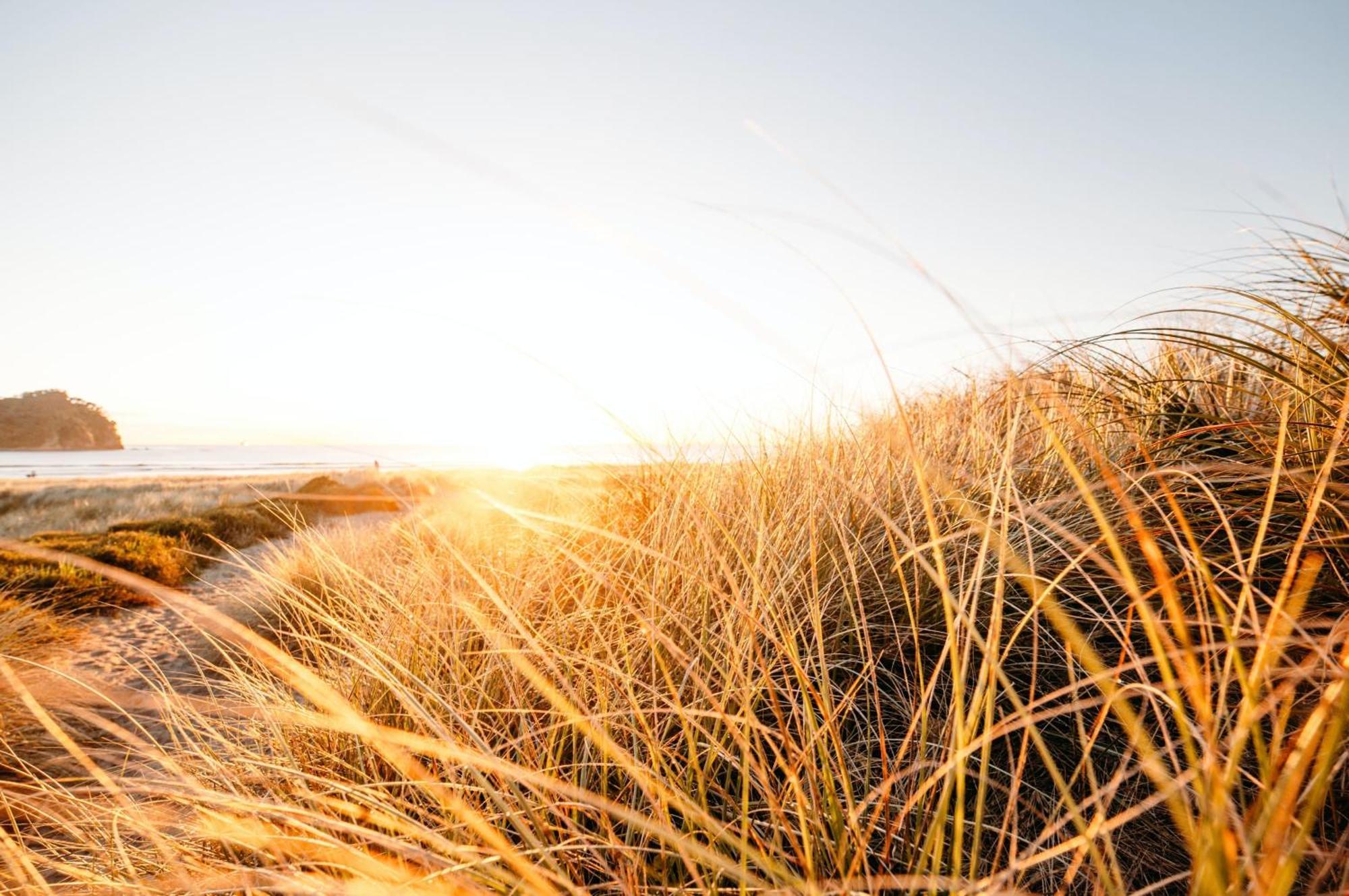 Seaside Escape Villa Mount Maunganui Dış mekan fotoğraf